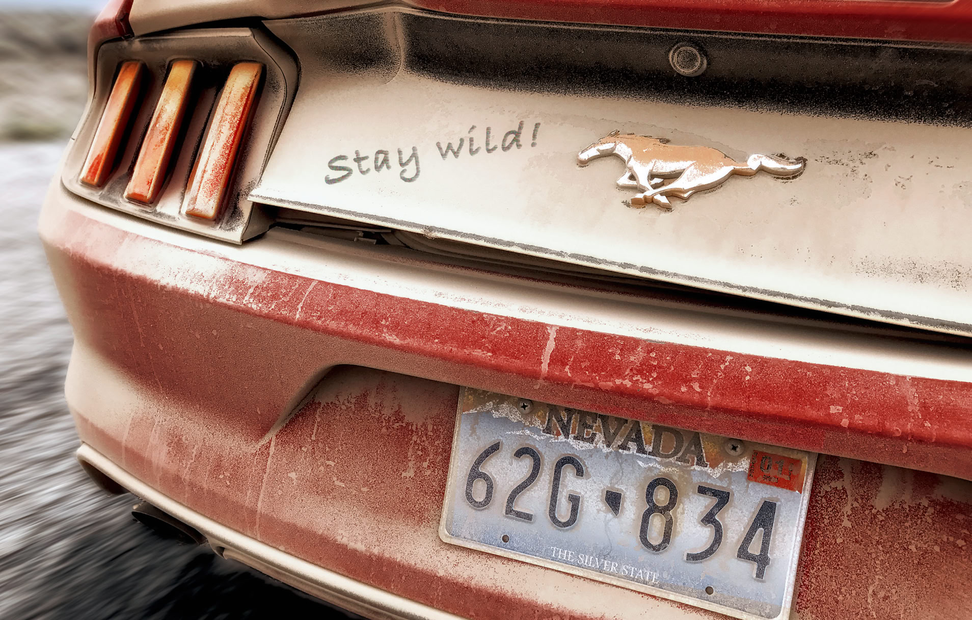 Mustang stay wild!